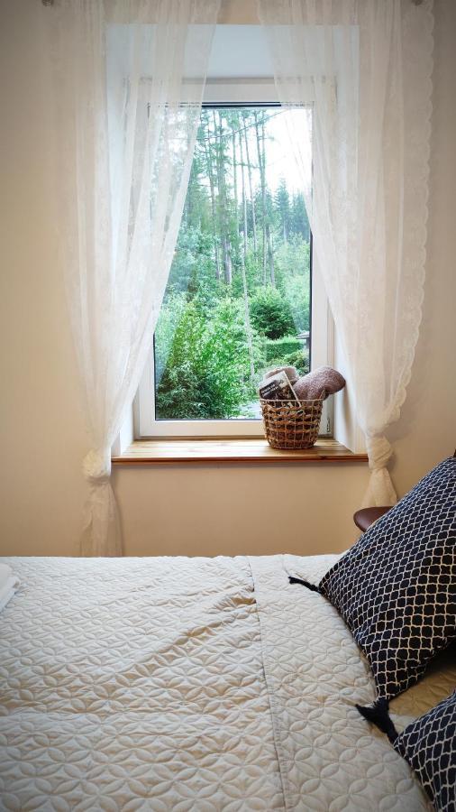 B&D Apartament Chelmiec Apartment Walbrzych Ngoại thất bức ảnh